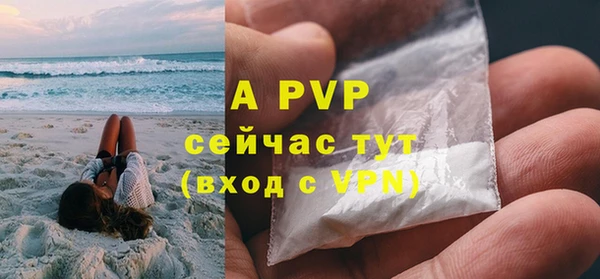 ПСИЛОЦИБИНОВЫЕ ГРИБЫ Беломорск