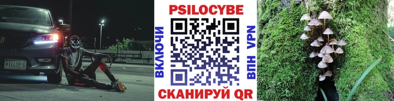 Псилоцибиновые грибы мухоморы  Бологое 