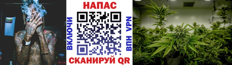мега сайт Бологое Бошки марихуана White Widow купить сайты